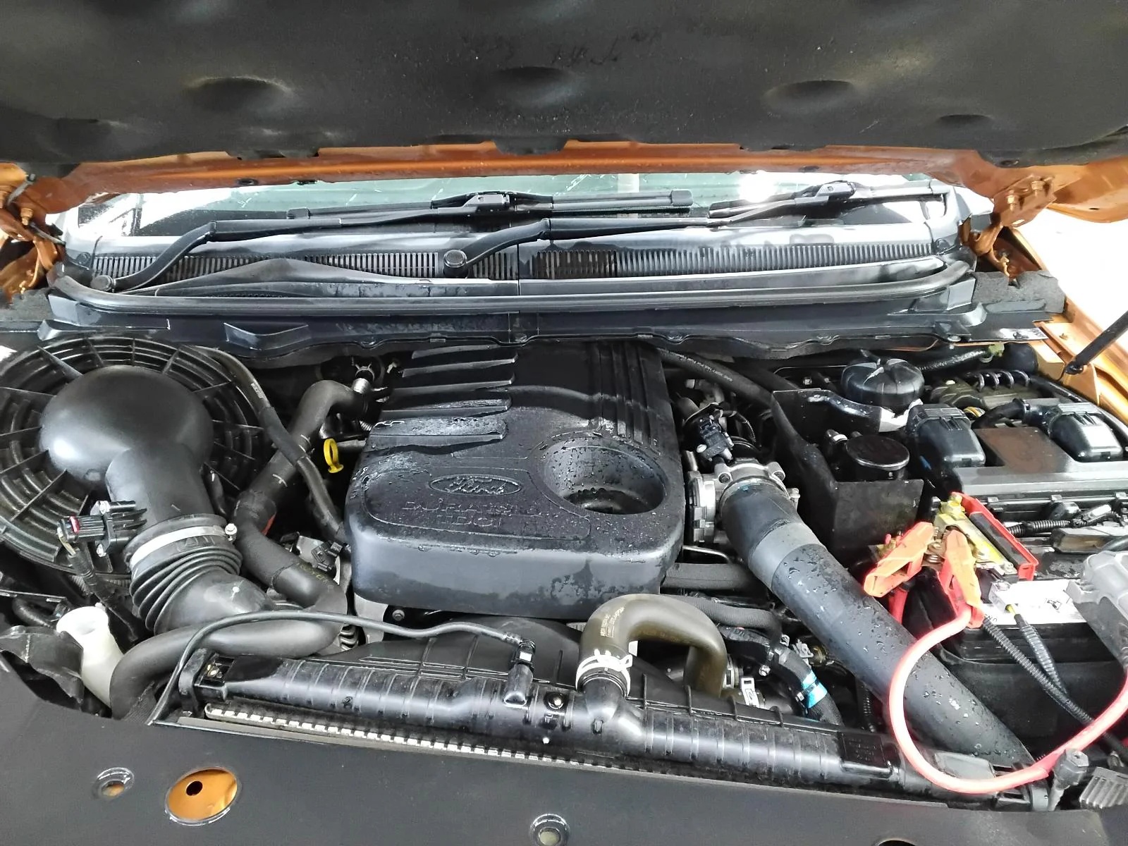 FORD RANGER LEFT GUARD PX SERIES 2-3, NON FLARE TYPE, 06/15-04/22 2019 - Image 11